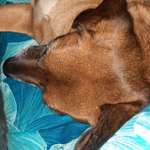 Ersteller:in Rebecca Profilbild