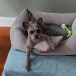 Ersteller:in Stephanie Profilbild