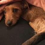 Ersteller:in Tabea Profilbild