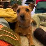 Ersteller:in Tabea Profilbild