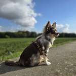 Ersteller:in Christiane Profilbild