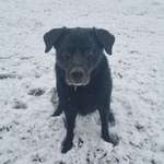 Ersteller:in Tanja Profilbild