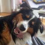 Ersteller:in Hannah Profilbild