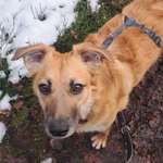 Ersteller:in Adrian Profilbild