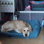 Ersteller:in Yannik Profilbild