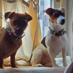 Ersteller:in Waldi Profilbild