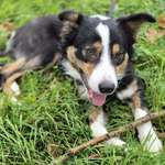 Ersteller:in Chantal Profilbild