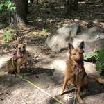 Ersteller:in Nicole Profilbild