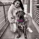 Ersteller:in Lena Profilbild