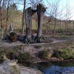 Ersteller:in D Profilbild