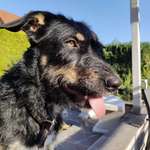 Ersteller:in Thomas Profilbild