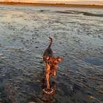 Ersteller:in Lea Profilbild