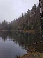 Hundeauslaufgebiet-Werdauer Wald-Bild