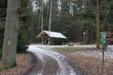 Hundeauslaufgebiet-Werdauer Wald-Bild
