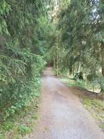 Hundeauslaufgebiet-Werdauer Wald-Bild