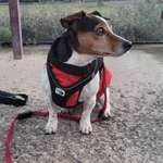 Ersteller:in Carmen Profilbild