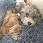 Ersteller:in Désirée Profilbild