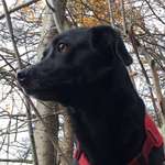 Ersteller:in Yvonne Profilbild