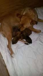 Geschwistersuche Papenburg-Beitrag-Bild