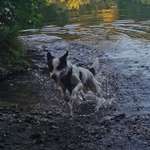 Ersteller:in sarah Profilbild