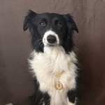 Ersteller:in Susanna Profilbild