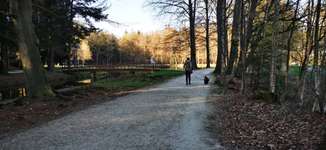 Hundeauslaufgebiet-Schloss Clemenswerth Sögel-Bild