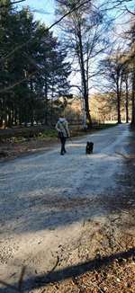 Hundeauslaufgebiet-Schloss Clemenswerth Sögel-Bild