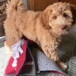 Ersteller:in Sa Profilbild