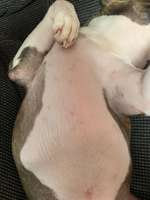 Pickel/Pusteln am Körper-Beitrag-Bild