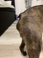 Beule unter dem After-Beitrag-Bild