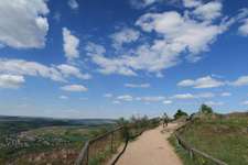 Hundeauslaufgebiet-Rundgang Aussichtspunkt Rotenfels-Bild