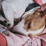 Ersteller:in Jen Profilbild