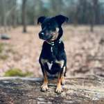 Ersteller:in Caro Profilbild