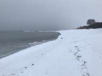 Hundeauslaufgebiet-Bliesdorf-Bild