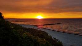 Hundeauslaufgebiet-Bliesdorf-Bild