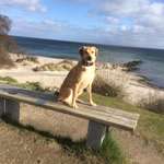 Ersteller:in Beate Profilbild