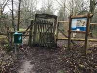 Hundeauslaufgebiet-Damwild-Gehege-Bild