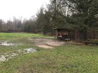 Hundeauslaufgebiet-Damwild-Gehege-Bild