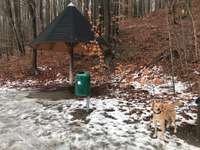 Hundeauslaufgebiet-Ukleisee Rundweg-Bild