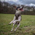 Ersteller:in Alicia Profilbild