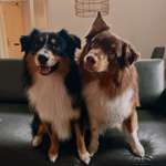 Ersteller:in Celina Profilbild