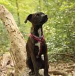 Ersteller:in Lia Profilbild