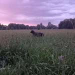 Ersteller:in Anna Profilbild