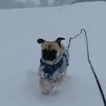 Ersteller:in Natalia Profilbild