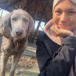 Ersteller:in Ireen Profilbild