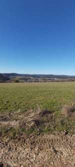 Hundeauslaufgebiet-Wahlener Platte-Bild