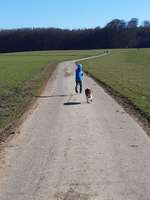 Hundeauslaufgebiet-Wahlener Platte-Bild