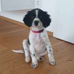 Ersteller:in Steffi Profilbild