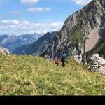 Ersteller:in Lavinia Profilbild