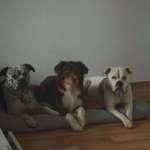 Ersteller:in Julien Profilbild